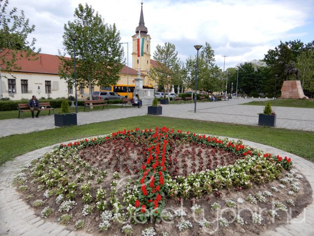 Virágos Berettyóújfalu 06